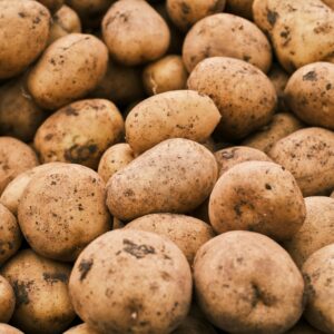 Close-up of freshly harvested potatoes with earthy tones, ideal for agriculture themes.