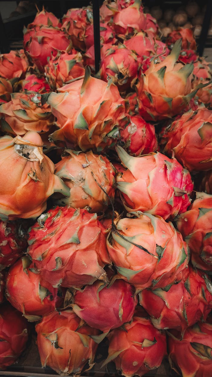 Pexels Photo 35669390