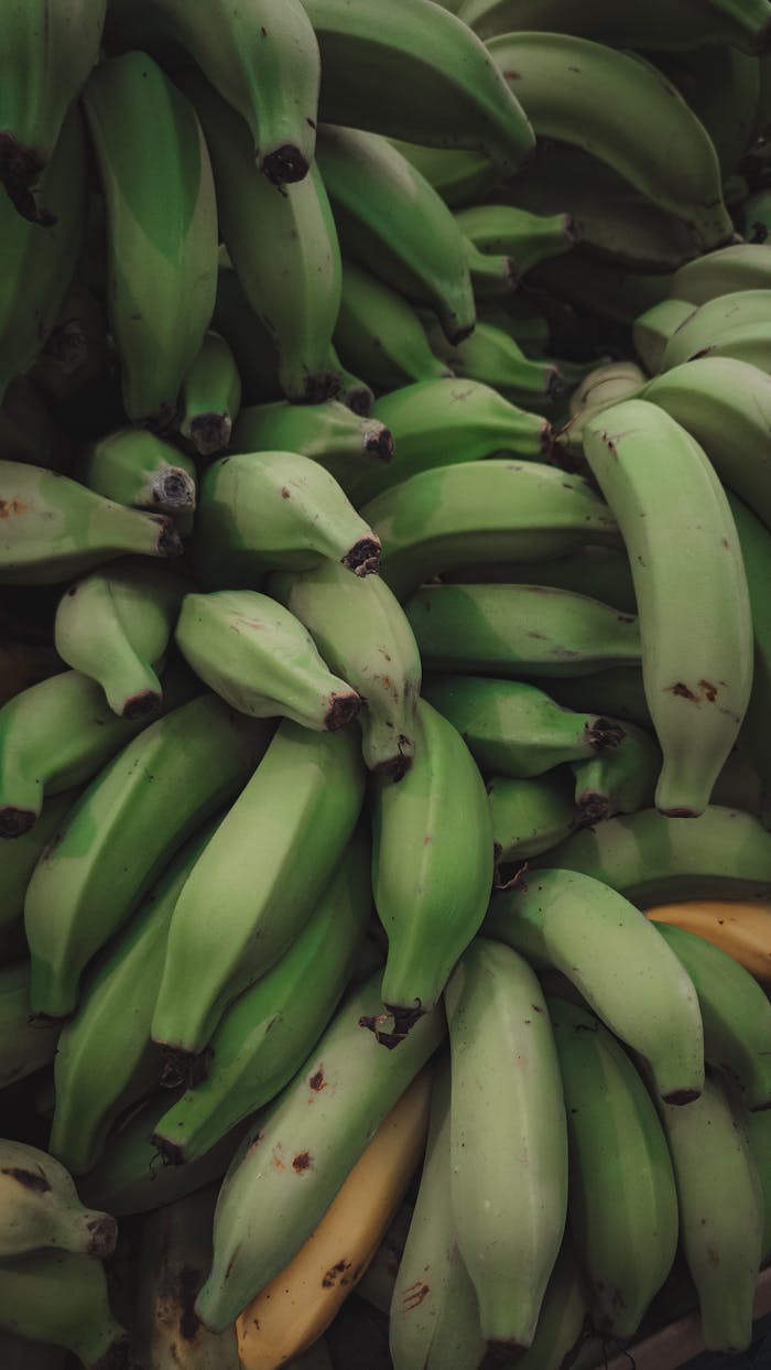 Pexels Photo 35669393