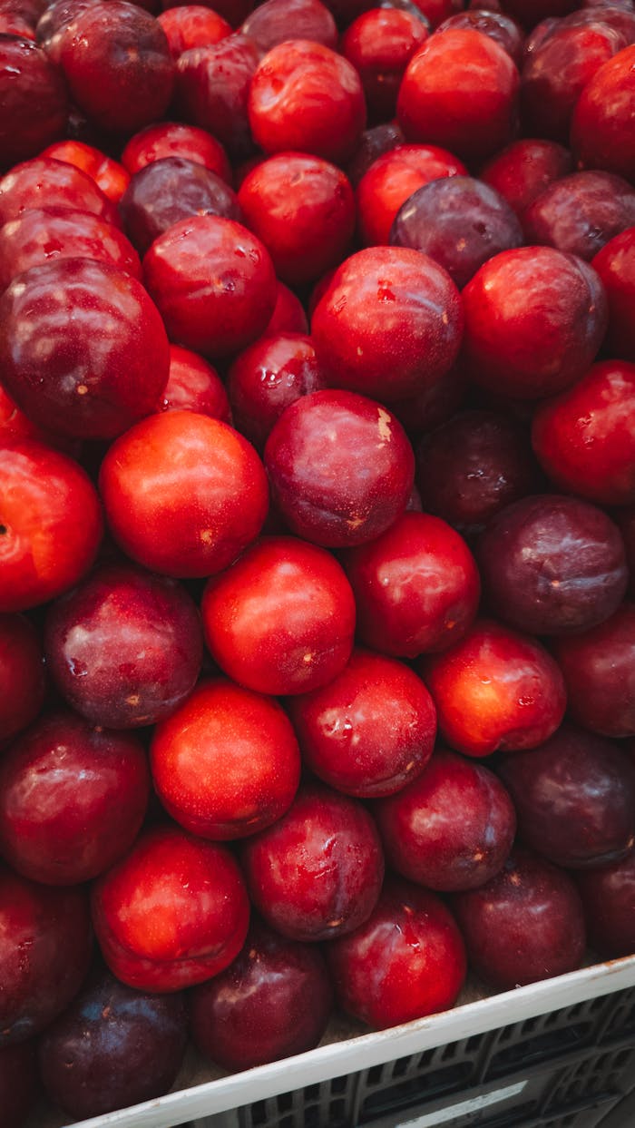 Pexels Photo 35669395